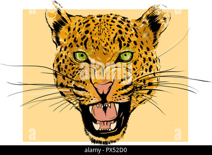 Leopard Portrait. Zornig wilde Big Cat Kopf. Nettes Gesicht der Afrikanischen aggressive Räuber mit gefletschten Zähnen im Comic-Stil Stockfoto