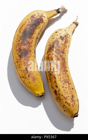 Eine Nahaufnahme von zwei reife, gelbe Bananen nebeneinander auf einem isolierten weißen Hintergrund Stockfoto