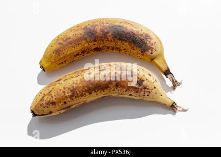 Eine Nahaufnahme von zwei reife, gelbe Bananen nebeneinander auf einem isolierten weißen Hintergrund Stockfoto