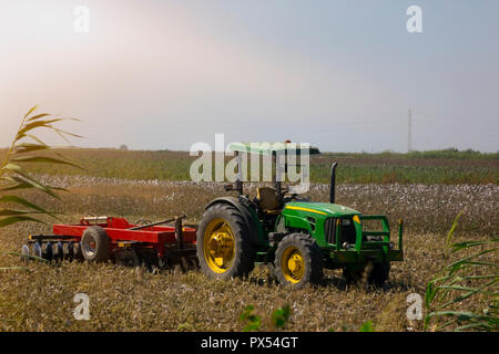 Baumwolle Feld nach der Ernte mit einem Traktor. Stockfoto