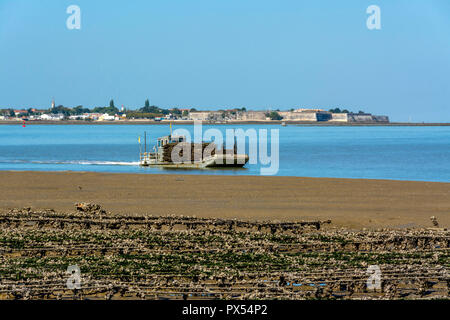 Mit flachem Boden Oyster - Boot am Fort Louvois, Le Chateau d'Oleron im Hintergrund, Charente Maritime, Nouvelle Aquitaine, Frankreich Stockfoto