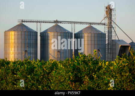 Landwirtschaftlichen Silo - Gebäudehülle, Lagerung und Trocknung von Getreide, Weizen, Mais, Soja, Sonnenblume Stockfoto