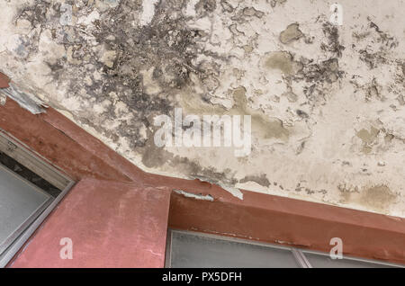 Schwarzer Schimmel und Flecken an der Decke eines verlassenen Hotel oder Haus. Stockfoto