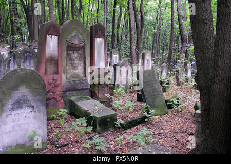 Okopowa Straße jüdischer Friedhof in Warschau, Polen Stockfoto