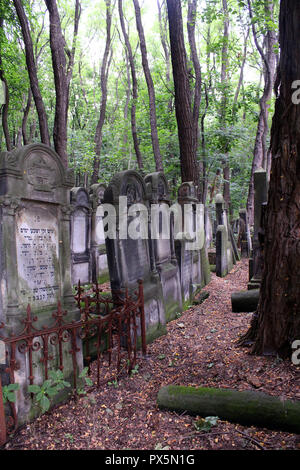 Okopowa Straße jüdischer Friedhof in Warschau, Polen Stockfoto