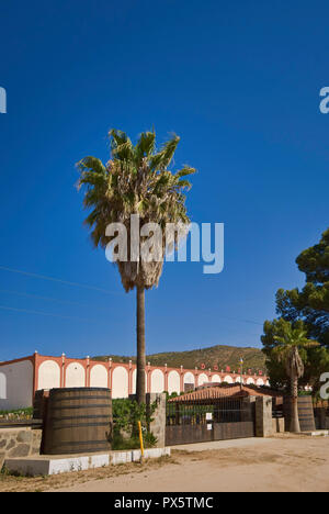 Monte Xanic Weingut im Valle de Guadalupe, Ruta del Vino, Baja California, Mexiko Stockfoto