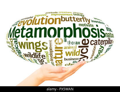 Metamorphose Wort cloud Sphäre Konzept auf weißem Hintergrund. Stockfoto