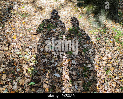 Die Schatten von Menschen auf Laub bedeckt eine Wiese im Wald von städtischen Park im sonnigen Herbsttag Stockfoto