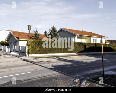 Village Road, thuja Hecke, Einfamilienhäuser, Mittelschicht, Österreich, Niederösterreich, südliches Niederösterreich, Lichtenwoerth Stockfoto