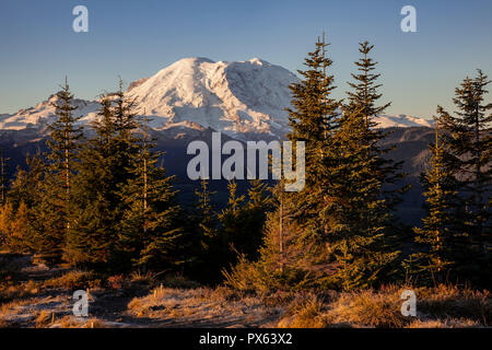 WA 14955-00 ... WASHINGTON - Sonnenaufgang an der Suntop Lookout in der Baker-Snoqualmie National Forest mit Mount Rainier im Hintergrund. Stockfoto