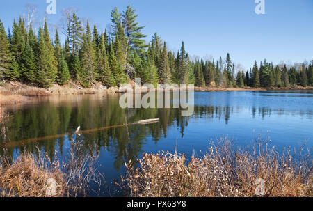 Kleine Forellen See im nördlichen Minnesota mit schönen blauen Wasser und Pinien am Ufer Stockfoto