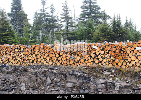 Neufundland, Kanada, strassenrand Brennholz Flor. Viele Menschen Ernte Holz ihre Häuser zu heizen und entlang der Strasse sind die Stapel aus gehacktem Holz. Stockfoto