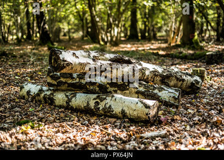 Cut Protokolle gestapelt natürlichen Lebensraum für Insekten und Tiere zur Verfügung zu stellen. Silver Birch Amtsleitungen. Stockfoto