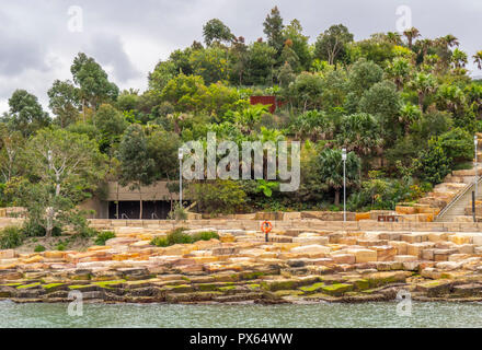 Nawi Cove und restaurierten Barangaroo Reserve Park, Sydney, NSW, Australien. Stockfoto