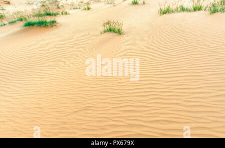 Kleine Dünen, wenn der Wind weht Pfad bildet schöne Falten auf Wüstensand Stockfoto