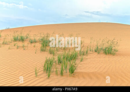 Kleine Dünen, wenn der Wind weht Pfad bildet schöne Falten auf Wüstensand Stockfoto