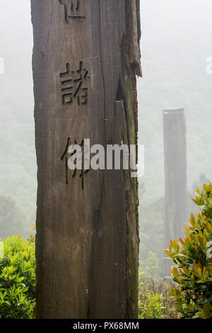 Hohen hölzernen Stelen an der Weisheit Pfad, Lantau Island, Hong Kong, China. Stockfoto