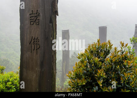 Hohen hölzernen Stelen an der Weisheit Pfad, Lantau Island, Hong Kong, China. Stockfoto