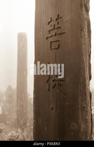 Hohen hölzernen Stelen an der Weisheit Pfad, Lantau Island, Hong Kong, China. Stockfoto