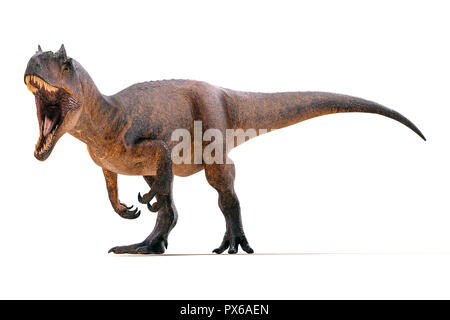 3d-Allosaurus rendern auf weißem Hintergrund Stockfoto