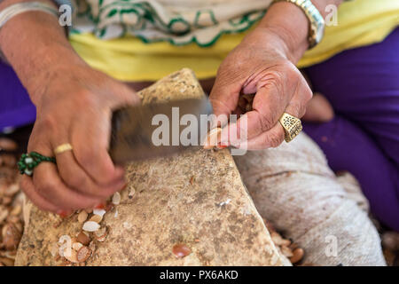 Nahaufnahmen der Hände der marokkanischen Frauen brechen Argan Muttern (Argania spinosa) in Kooperativen in Marokko. Diese Frucht ist als Kosmetika und Lebensmitteln eingesetzt. Stockfoto