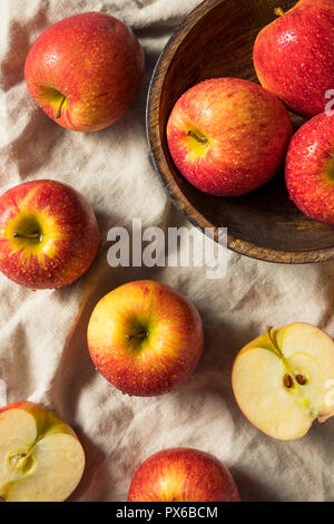 Rohe Rote organische Neid Äpfel bereit zu Essen Stockfoto