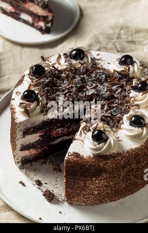 Süße hausgemachte Schwarzwälder Kirschtorte bereit zu Essen Stockfoto