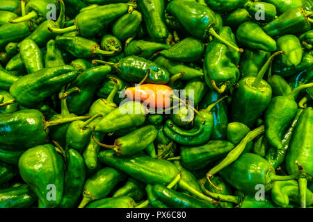 Eine rote Paprika unter grünen auf dem Markt in Palma de Mallorca Stockfoto