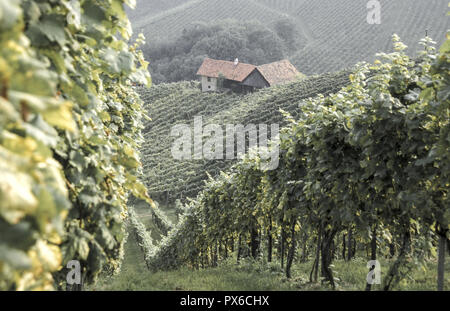 Weinstrasse Südsteirische Weinstrasse, Österreich, Steiermark, Südsteiermark, Suedsteirische Weinstrasse Stockfoto