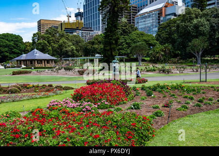 Der Royal Botanic Garden in die Innenstadt von Sydney, New South Wales, Australien Stockfoto