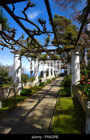 Die Villa San Michele in Anacapri, die das Haus wurde gebaut von schwedischen Arzt Axel Munthe. Der Garten ist eine Oase der Ruhe auf der Insel Capri Stockfoto
