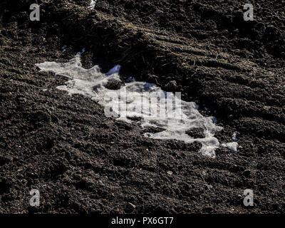 Schneeschmelze auf braunen Erde Stockfoto