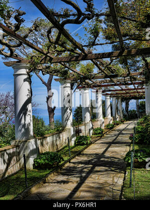 Die Villa San Michele in Anacapri, die das Haus wurde gebaut von schwedischen Arzt Axel Munthe. Der Garten ist eine Oase der Ruhe auf der Insel Capri Stockfoto