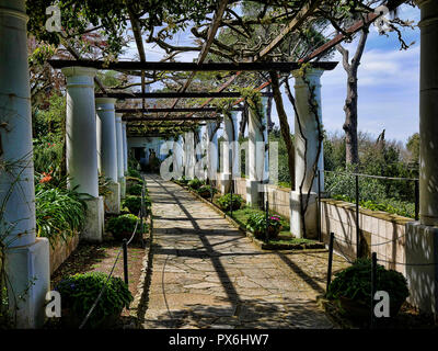 Die Villa San Michele in Anacapri, die das Haus wurde gebaut von schwedischen Arzt Axel Munthe. Der Garten ist eine Oase der Ruhe auf der Insel Capri Stockfoto