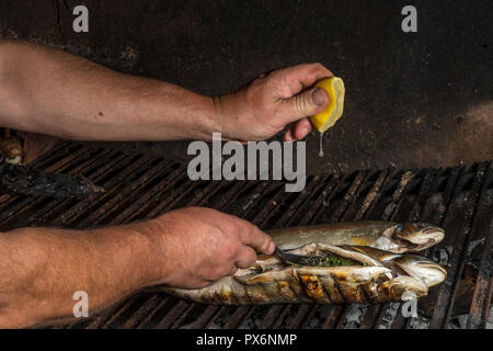 Regenbogen Forelle gebraten auf den Grill. Chef's Hände Zitrone hinzufügen Stockfoto