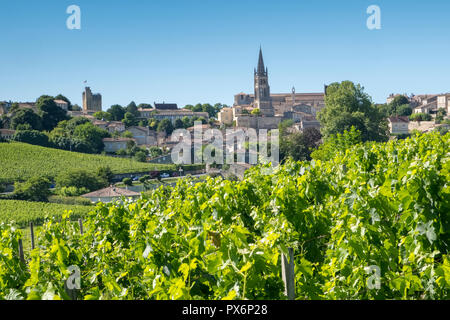 Die berühmten Weinberge und Stadt Saint Emilion, Frankreich, Europa Stockfoto