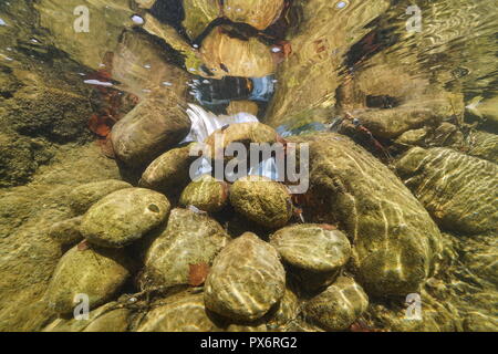 Felsen unter Wasser in einem fließenden Strom, la Muga Fluss, Alt Emporda, Katalonien, Spanien Stockfoto