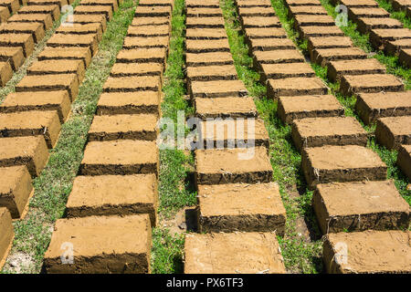 Eine handgefertigte Ziegel aus Lehm und Stroh, in der Sonne zu trocknen. Stockfoto