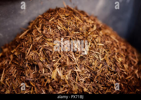Hojicha, berühmte frisch gerösteten niedrigen Koffein grüner Tee, auch bekannt als Hoji Cha, Hoji-Cha, Houjicha, in der Stadt Uji, japanische Hauptstadt von Tee. U Stockfoto