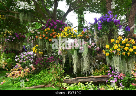 Blumenarrangements Stockfoto