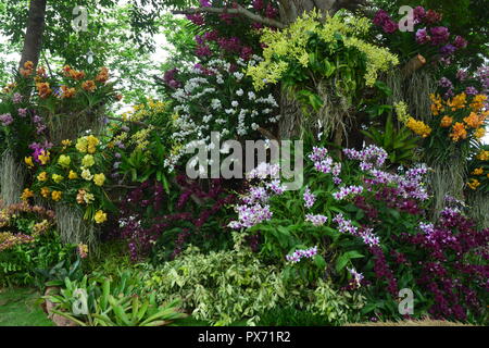 Blumenarrangements Stockfoto