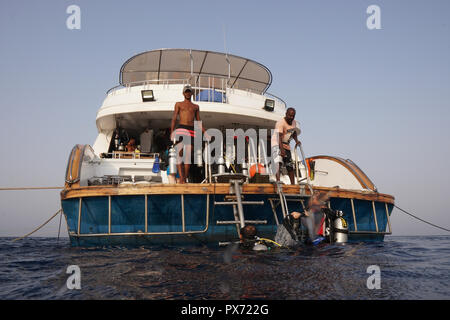 SCUBA Diving Safari Tauchsafari im Roten Meer Stockfoto