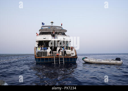 SCUBA Diving Safari Tauchsafari im Roten Meer Stockfoto