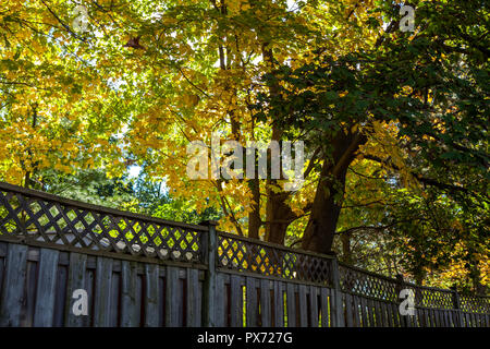 Hamilton, Kanada - Oktober 16, 2018: Bunte sonnige Herbst voller Farben im Park in der Nähe des Sees Stockfoto