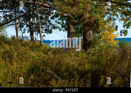 Hamilton, Kanada - Oktober 16, 2018: Bunte sonnige Herbst voller Farben im Park in der Nähe des Sees Stockfoto