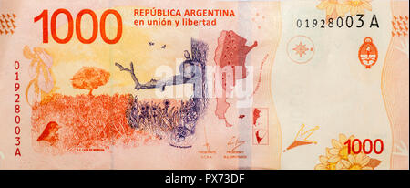 Zurück Der aktuelle 000-Peso argentinischer Banknote Stockfoto