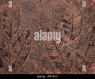 Blätter Stempel Muster auf Betonboden. Blatt Stempel Textur auf roten Stein mauer Hintergrund. Stockfoto