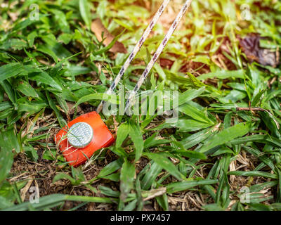 Starke rote Zelt peg Holding ein Seil in einer grünen Gras. Stockfoto