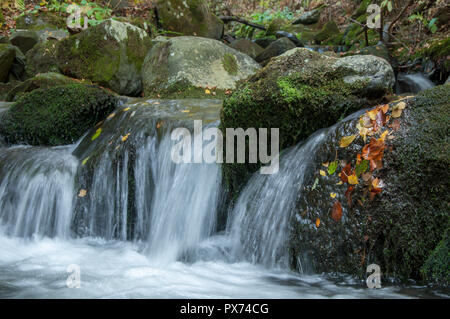 Herbstfarben der Vitosha Tal in Sofia, Bulgarien Stockfoto