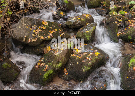 Herbstfarben der Vitosha Tal in Sofia, Bulgarien Stockfoto